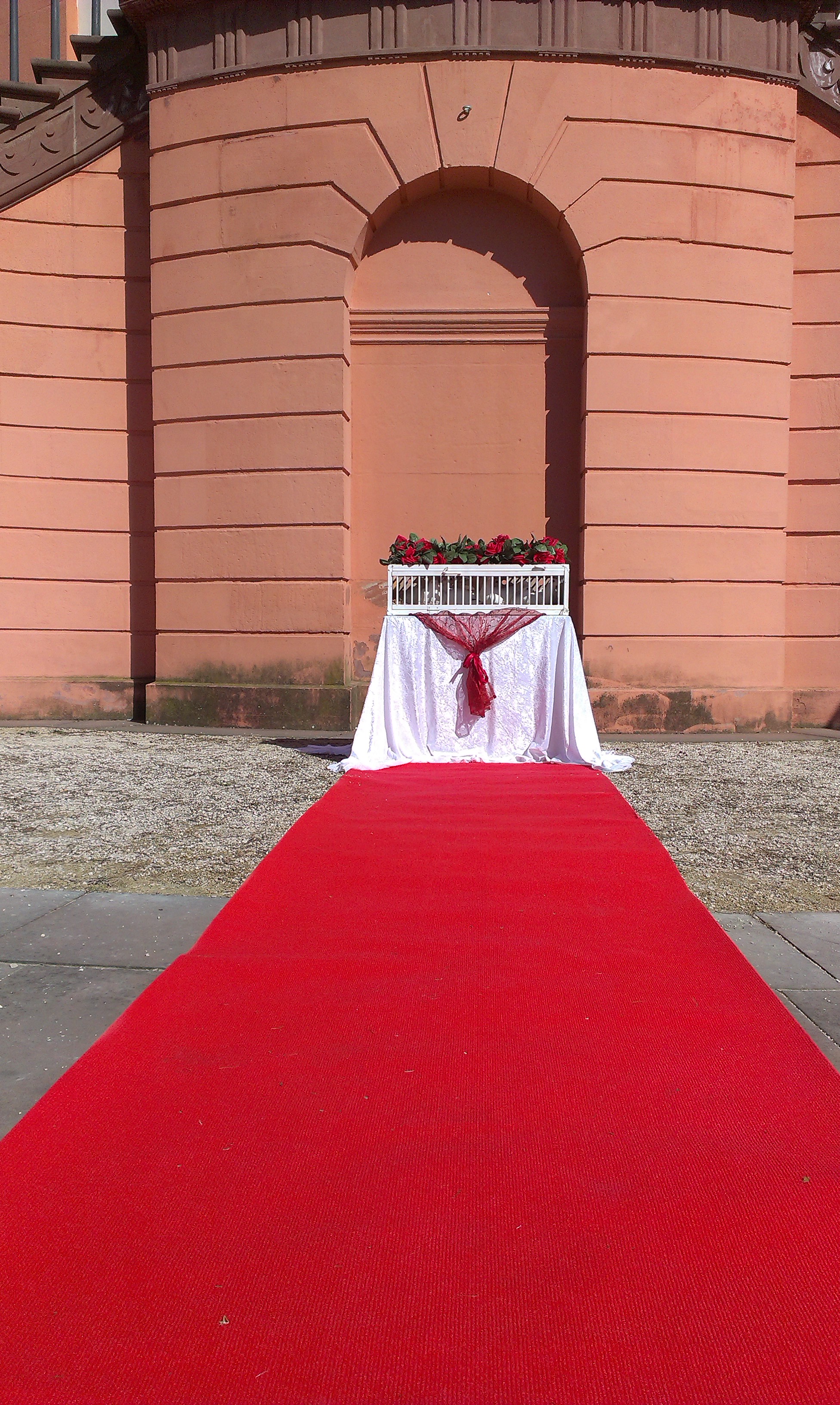 Hochzeitstauben roter Teppich